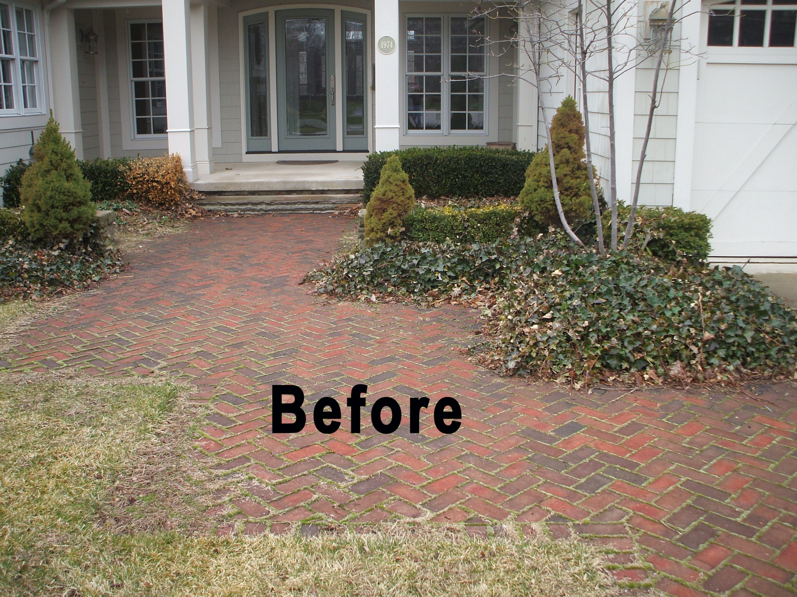 Paver Patio Cleaning Before
